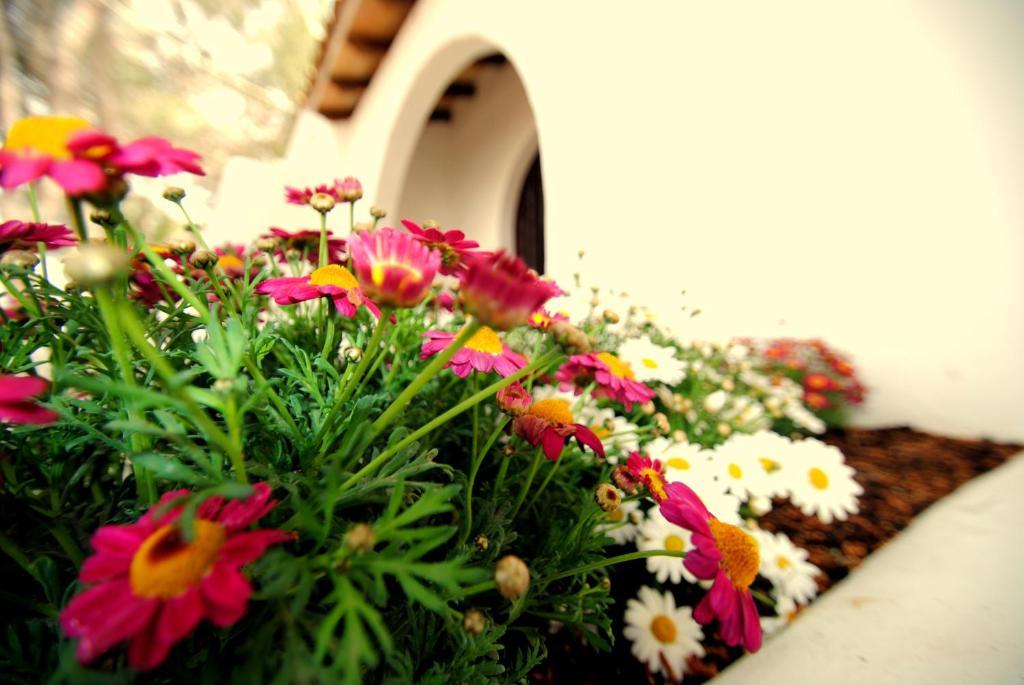 Casa Ceiba Maria Hotel กาลาดอร์ ภายนอก รูปภาพ